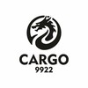 Логотип телеграм канала @cargo9922 — ДОСТАВКА ИЗ КИТАЯ CARGO-9922