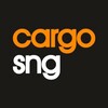 Логотип телеграм канала @cargosng — КАРГО СНГ 🇨🇳