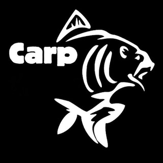 Логотип телеграм канала @carp_armadero — Carp