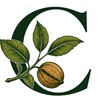 Telegram kanalining logotibi caryatouruz — Carya Tour | Sayohat
