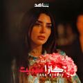 لوگوی کانال تلگرام casastreet — 1XBET MOROCO🇲🇦