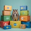 Логотип телеграм канала @cashbask — КЕШБЕК ОТ СОВЫ 🦉 | ТОВАРЫ ЗА ОТЗЫВ | CASHBACK | ВАЙЛДБЕРРИЗ | ОЗОН |