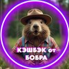 Логотип телеграм канала @cashbudni — кэшбэк бобра