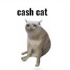 टेलीग्राम चैनल का लोगो cashcat — Cashcat gems