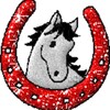 Логотип телеграм канала @casinoload — CASINO (18 )