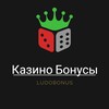 Логотип телеграм канала @casinoludobonus — Бонусы Казино I LudoBonus