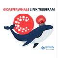 Logo saluran telegram casperwhale — Casper Whale Alert