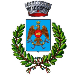 Logo del canale telegramma castionsinforma - Castions Informa