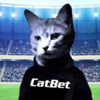 Логотип телеграм канала @cat_bet_team — CatBet - Ставки на спорт