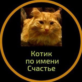 Логотип телеграм канала @cat_happiness — КотоСчастье