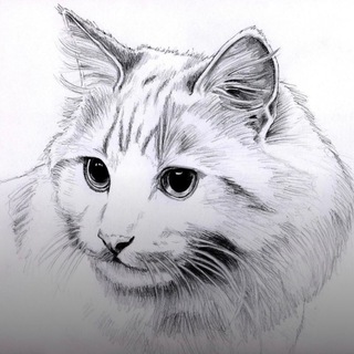 Логотип телеграм канала @cat_town1 — 😻Cat Town😻