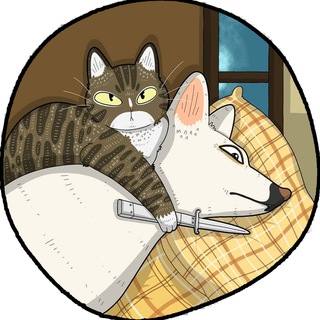 Логотип телеграм канала @cat_vs_doge — Кот vs Пёс