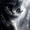 Логотип телеграм канала @cat_balinta — Кот Балинта
