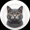 Логотип телеграм канала @cat_darom — Кошки в добрые руки