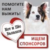 Логотип телеграм канала @cat_dog64 — Кот и Пёс Балашов