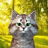 Логотип телеграм канала @cat_ekilibr — Экилибр. Все о медитации и ментальном развитии.