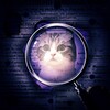 Логотип телеграм канала @cat_komary — Комару и друзья
