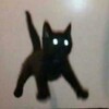 Логотип телеграм канала @cat_memes2 — Мемы с Котами | Приколы с Котиками