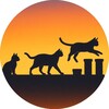 Logo of telegram channel cat_parade — Cat Parade