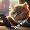 Логотип телеграм канала @cat_procat — Про котов 🐱