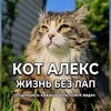 Логотип телеграм канала @cataleksvdk — ЖИЗНЬ КОТА БЕЗ ЛАП
