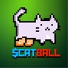 Логотип телеграм канала @catballrobinhood — $CatBall