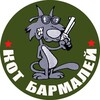 Логотип телеграм канала @catbarmaley — Кот Бармалей