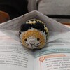 Логотип телеграм канала @catbor1s — Кот Борис