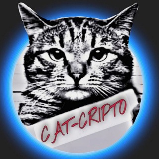 Логотип телеграм канала @catcrypto — CAT-CRYPTO