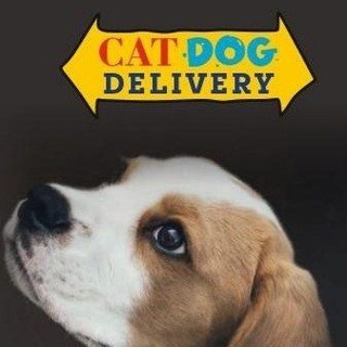 Логотип телеграм -каналу catdogdelivery — Перевозка животных из Украины в Европу