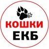 Логотип телеграм канала @cathome_ekb — Кошки бесплатно в добрые руки ЕКБ и СО