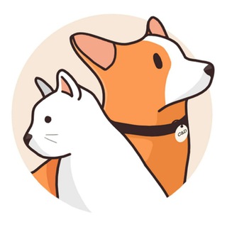 Логотип телеграм канала @catidogi — Cat and Dog