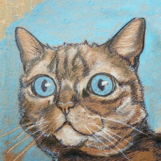 Логотип телеграм канала @catinhead — Телега с котами