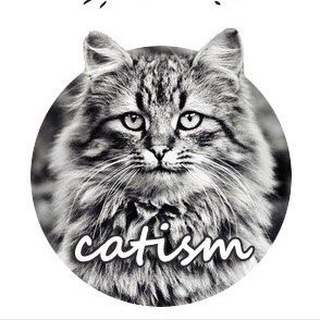 Логотип телеграм канала @catism — Котизм
