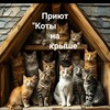 Логотип телеграм канала @catlandkazan — КОТЫ НА КРЫШЕ- мини приют