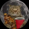 Logo of telegram channel catlipseton — CATLIPSE