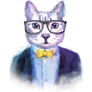 电报频道的标志 catmanapp — 猫总—秘密金融频道