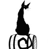 Логотип телеграм канала @catonthebarrelsochi — Винотека Кот на Бочке