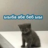 Логотип телеграм канала @catrave — мысли котана