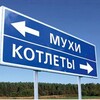 Логотип телеграм канала @catrinaufa — Мухи и котлеты