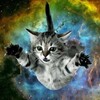 Логотип телеграм канала @cats_and_degradation — Деградация и котики