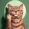 Логотип телеграм канала @cats_humor — Коты с мемами