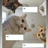 Логотип телеграм канала @catsandnatasha — Коты и Наташа (иногда) 🐱🐱🐱👩‍🦰