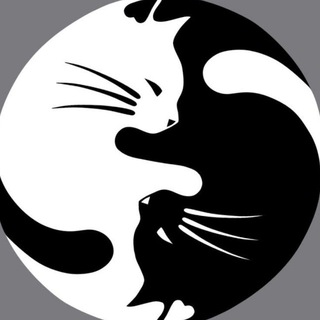 Логотип телеграм канала @catsbrotherhood — Братство КотикоВ🐈