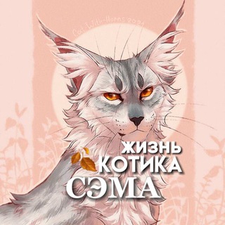 Логотип телеграм канала @catsemtiktok — Жизнь кота Сэма🖤🐾