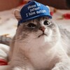 Логотип телеграм канала @catsgifpic — Гифки с котами и забавные картинки