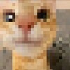 Логотип телеграм канала @catsgoodluck — Kot
