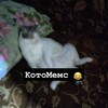 Логотип телеграм канала @catsmemeslol — КотоМемс 🤣