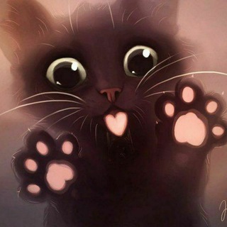 Логотип телеграм канала @catsocutee — Mr Кесулькен ✓ 🐱 cat so cute