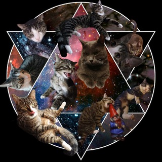 Логотип телеграм канала @catsofwilds — Коты Диких 🐈‍⬛️🐈‍⬛️🐈‍⬛️🐈‍⬛️
